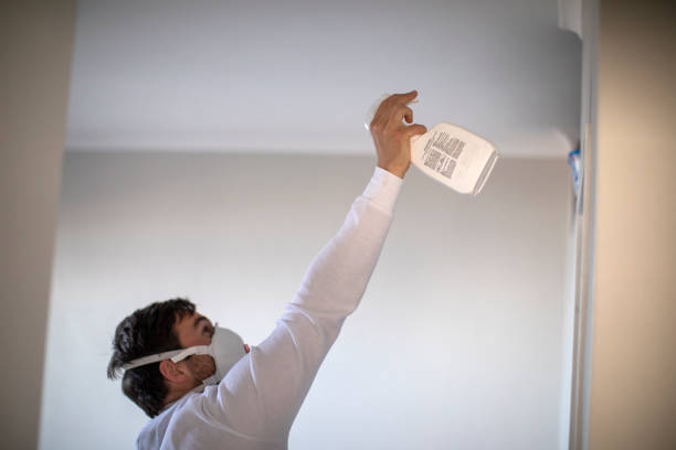 Best Residential Mold Removal  in Campbellsport, WI
