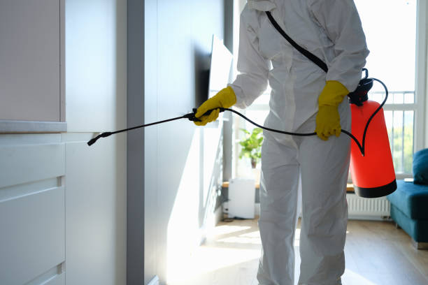 Best Affordable Mold Removal  in Campbellsport, WI