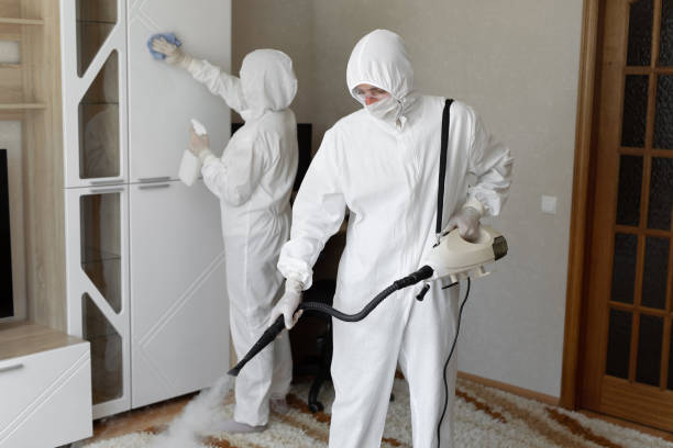 Best Mold Testing  in Campbellsport, WI